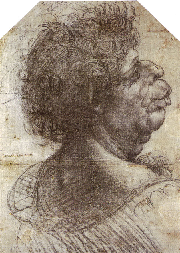Leonardo da Vinci - A Grotesque Head Grotesque head 1502