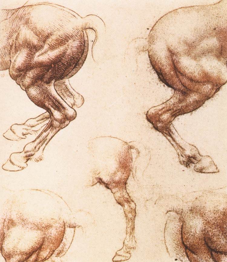 Leonardo da Vinci - Study of horses 1505