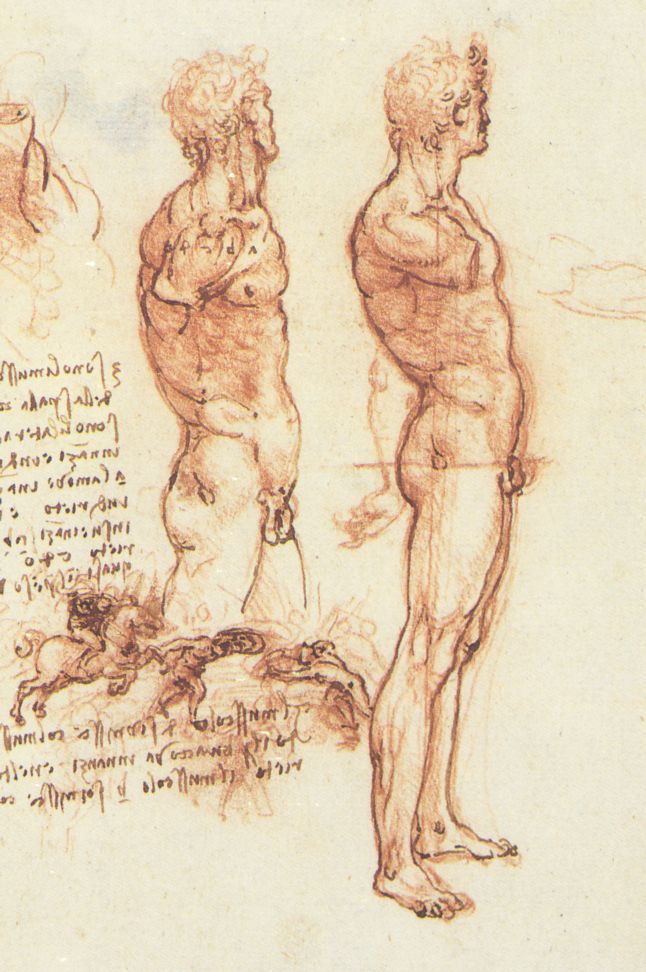 Leonardo da Vinci - The anatomy of a male nude and a battle scene 1505