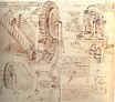 Leonardo da Vinci - Drawings of Water Lifting Devices 1481