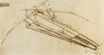 Leonardo da Vinci - Design for a flying machine 1488