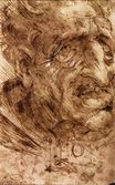 Leonardo da Vinci - Head of an Old Man 1488