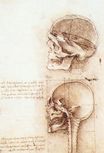 Leonardo da Vinci - Studies of human skull 1489