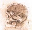 Leonardo da Vinci - View of a Skull 1489