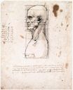 Leonardo da Vinci - Bust of a man in profile with measurements and notes 1490