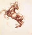 Leonardo da Vinci - Rearing horse 1503