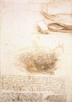Leonardo da Vinci - Studies of water 1510