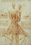 Leonardo da Vinci - Anatomy of the Neck 1515