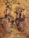 Leonardo da Vinci - Heart and its Blood Vessels