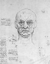 Leonardo da Vinci - Study on the proportions of head and eyes