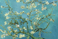 1920x1280 Vincent van Gogh - Blossoming Almond Tree 1890